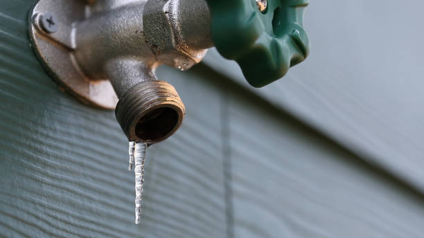 Best Clogged Drain Plumber  in Glenvar Heights, FL